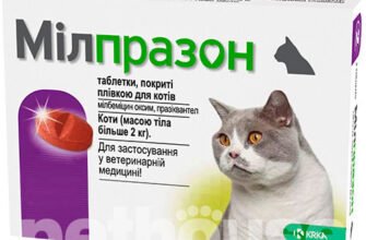 “Мілпразон: ефективний захист ваших улюбленців від паразитів”