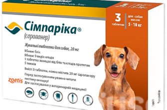 Ефективні таблетки від кліщів для собак: захистіть свого улюбленця
