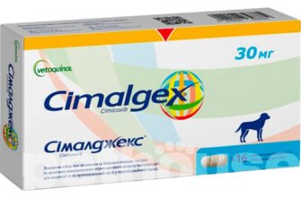 Сималджекс: Ефективне рішення для управління бізнес-процесами в Україні