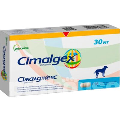 Сималджекс: Ефективне рішення для управління бізнес-процесами в Україні