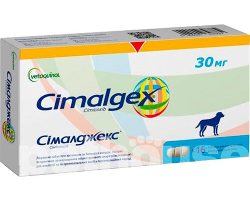 Сималджекс: Ефективне рішення для управління бізнес-процесами в Україні