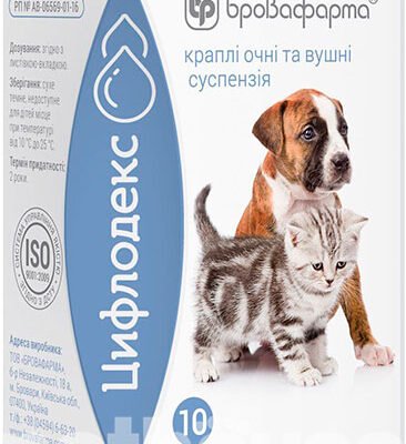 Цифлодекс: Як Ефективно Впровадити Інноваційний Метод Аналізу Даних
