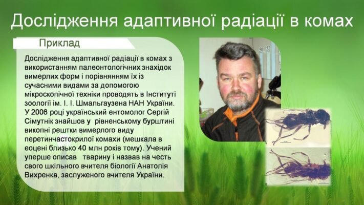 Автор правила адаптивної радіації: відкриття Джорджем Сімпсоном