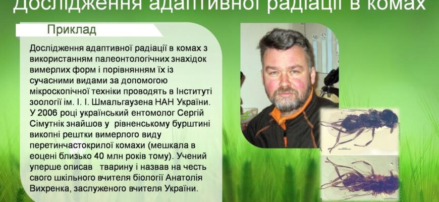 Автор правила адаптивної радіації: відкриття Джорджем Сімпсоном