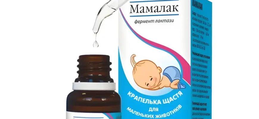 “Мамалак: унікальний феномен культури та традицій України”