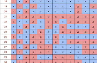 Календар вагітності: ваш надійний гід по триместрах і тижнях