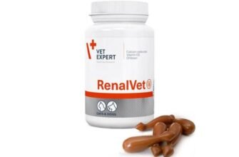 Реналвет: покращення здоров’я нирок у домашніх тварин