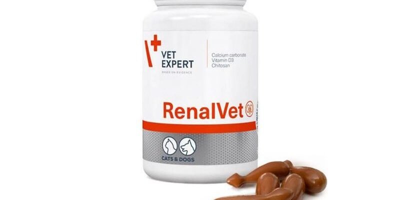 Реналвет: покращення здоров’я нирок у домашніх тварин