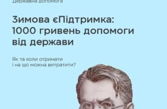 Зимова підтримка: На що ефективно витратити отримані кошти?