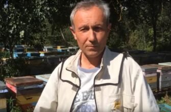 Матководи української степової породи: роль у бджільництві та селекції