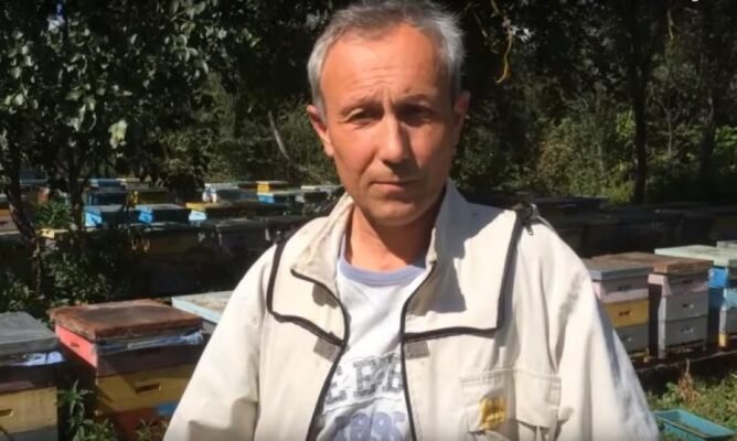 Матководи української степової породи: роль у бджільництві та селекції