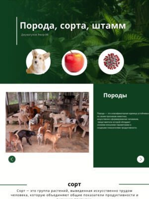 Сорт, порода, штам є: як правильно обрати для вашого господарства?