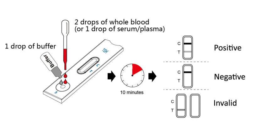 Тропоніновий тест: важливість у діагностиці серцевих захворювань