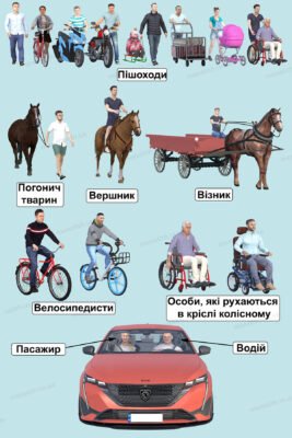 Хто є учасником дорожнього руху: визначення та основні групи