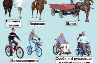 Хто є учасником дорожнього руху: визначення та основні групи