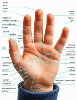 Секрети Су Джок: цілющі техніки для здоров’я тіла та душі