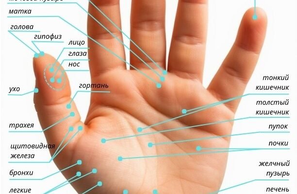 Секрети Су Джок: цілющі техніки для здоров’я тіла та душі