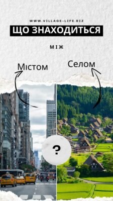 Між містом і селом: в чому унікальність передмість України?