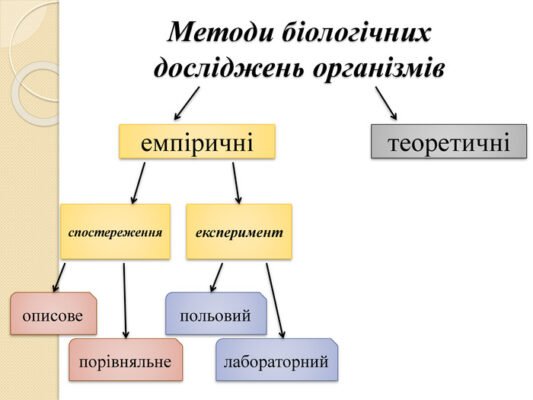 Основні методи біологічних досліджень: ключові підходи та інструменти