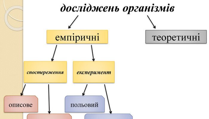 Основні методи біологічних досліджень: ключові підходи та інструменти
