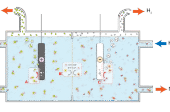 Електроліти: важливість та користь для здоров’я організму людини