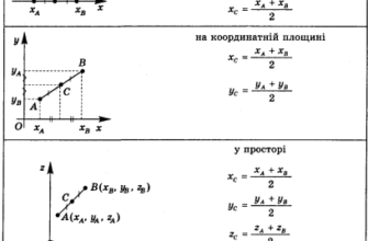 Як знайти координати середини відрізка: простий алгоритм розрахунку