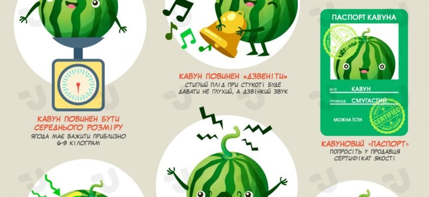 Як вибрати кавун: корисні поради для ідеального вибору ягоди