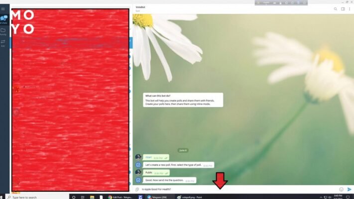 Як зробити опитування в Телеграмі: покрокова інструкція для новачків