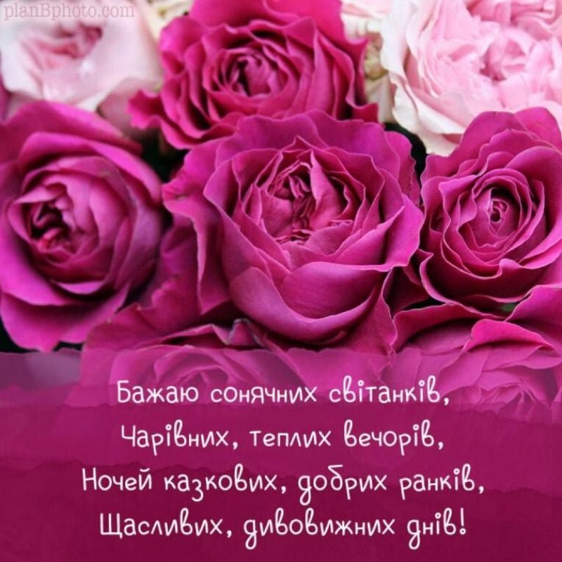 Подруга святкує