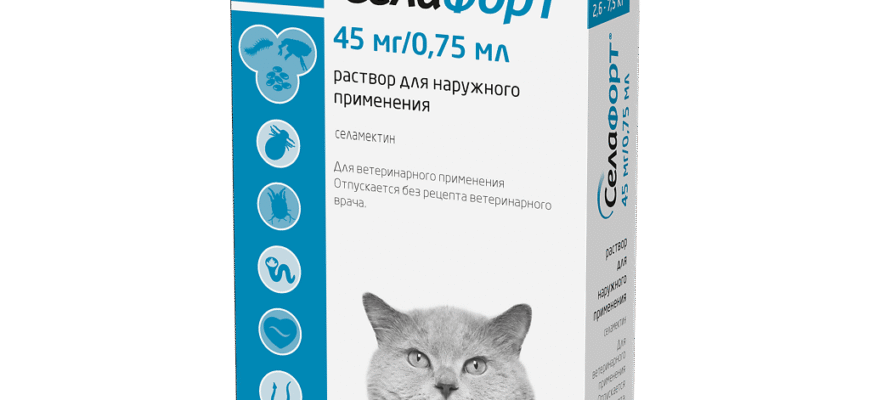 Захистіть своїх улюбленців від паразитів: ефективність препарату Селафорт