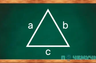 Як обчислити площу трикутника за трьома сторонами: простий алгоритм