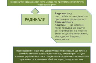 Хто такі радикали: визначення, особливості та вплив на суспільство
