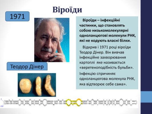 Хто відкрив віроїди: історія відкриття та вчені вивчення віроїдів