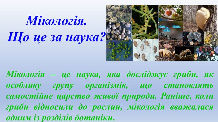 Хто такий той, хто вивчає гриби: дізнайтеся про мікологів!