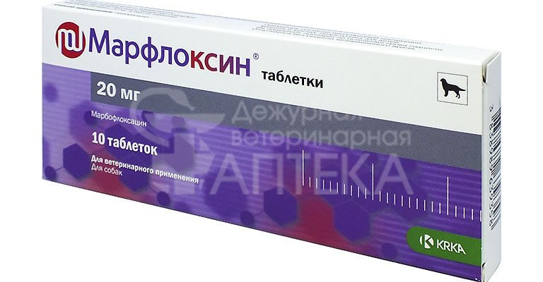 Марфлоксин: ефективний засіб проти бактеріальних інфекцій у тварин