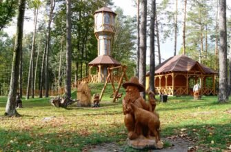 Відвідайте унікальний музей лісу: історія і багатство природи