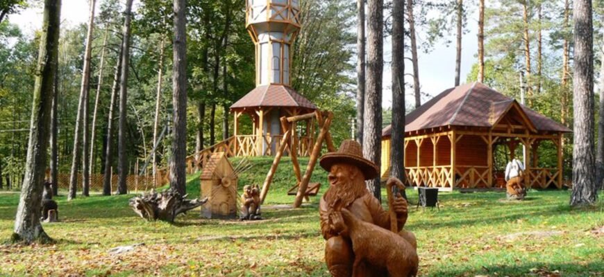 Відвідайте унікальний музей лісу: історія і багатство природи