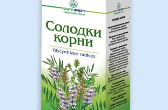 Корінь солодки: користь, застосування та поради для здоров’я