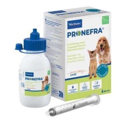 Пронефра: важливі факти про ранній етап розвитку нирок у тварин