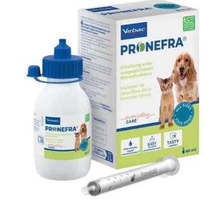 Пронефра: важливі факти про ранній етап розвитку нирок у тварин