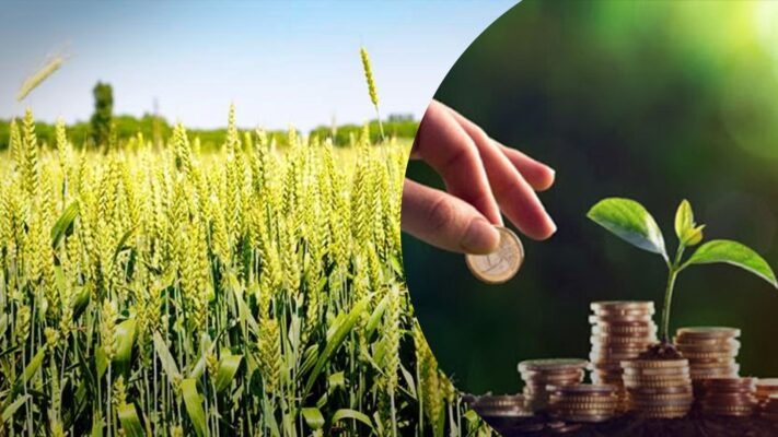 Як перевірити та дізнатися суму податку на землю в Україні онлайн