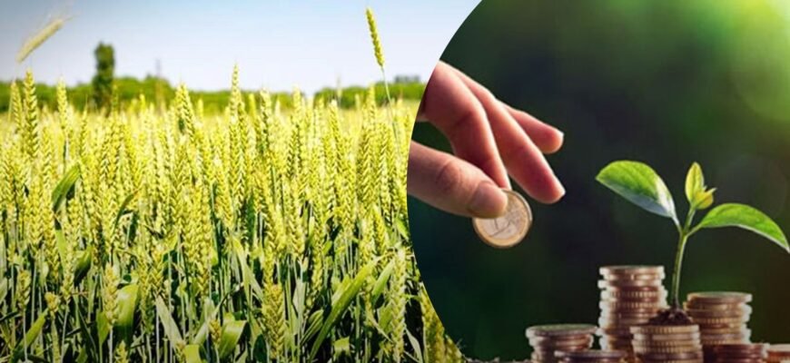 Як перевірити та дізнатися суму податку на землю в Україні онлайн Як перевірити та дізнатися суму податку на землю в Україні онлайн