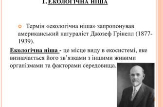 Хто запропонував термін екологічна ніша: дізнайтесь авторство