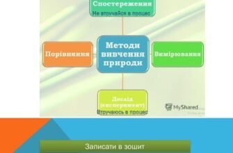 Методи вивчення природи: ефективні підходи для дослідження світу