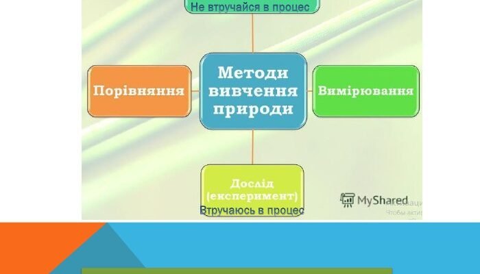 Які є методи дослідження природи: огляд основних підходів