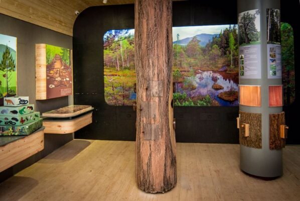 Вигода від відвідування музеїв: Переваги для суспільства та особистості