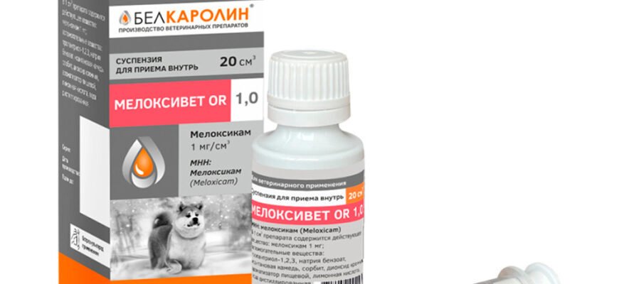 Інструкція до мелоксивет суспензії: застосування та дози препарату