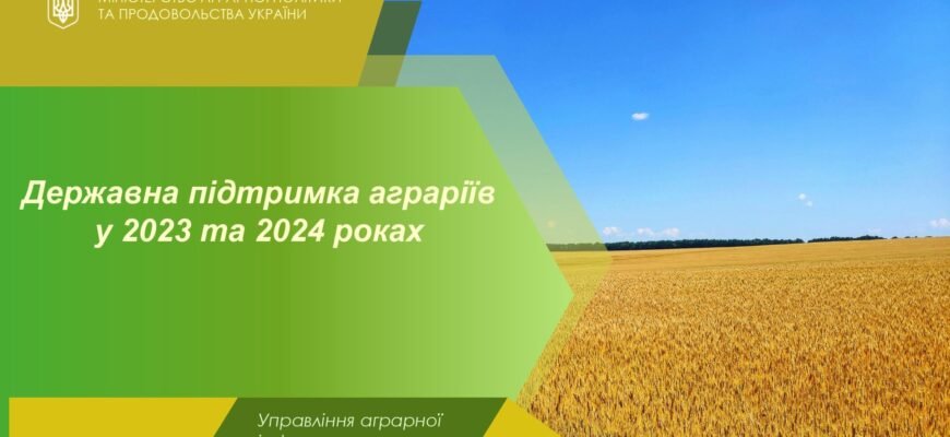 Державна підтримка сільського господарства 2024: зміни та перспективи