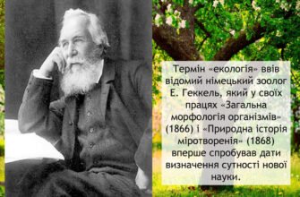 Хто запропонував термін екологія і його значення для науки?