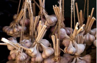 Як зберігати часник: ефективні методи для тривалого зберігання